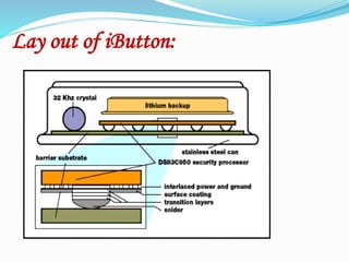Lay out of iButton:
 