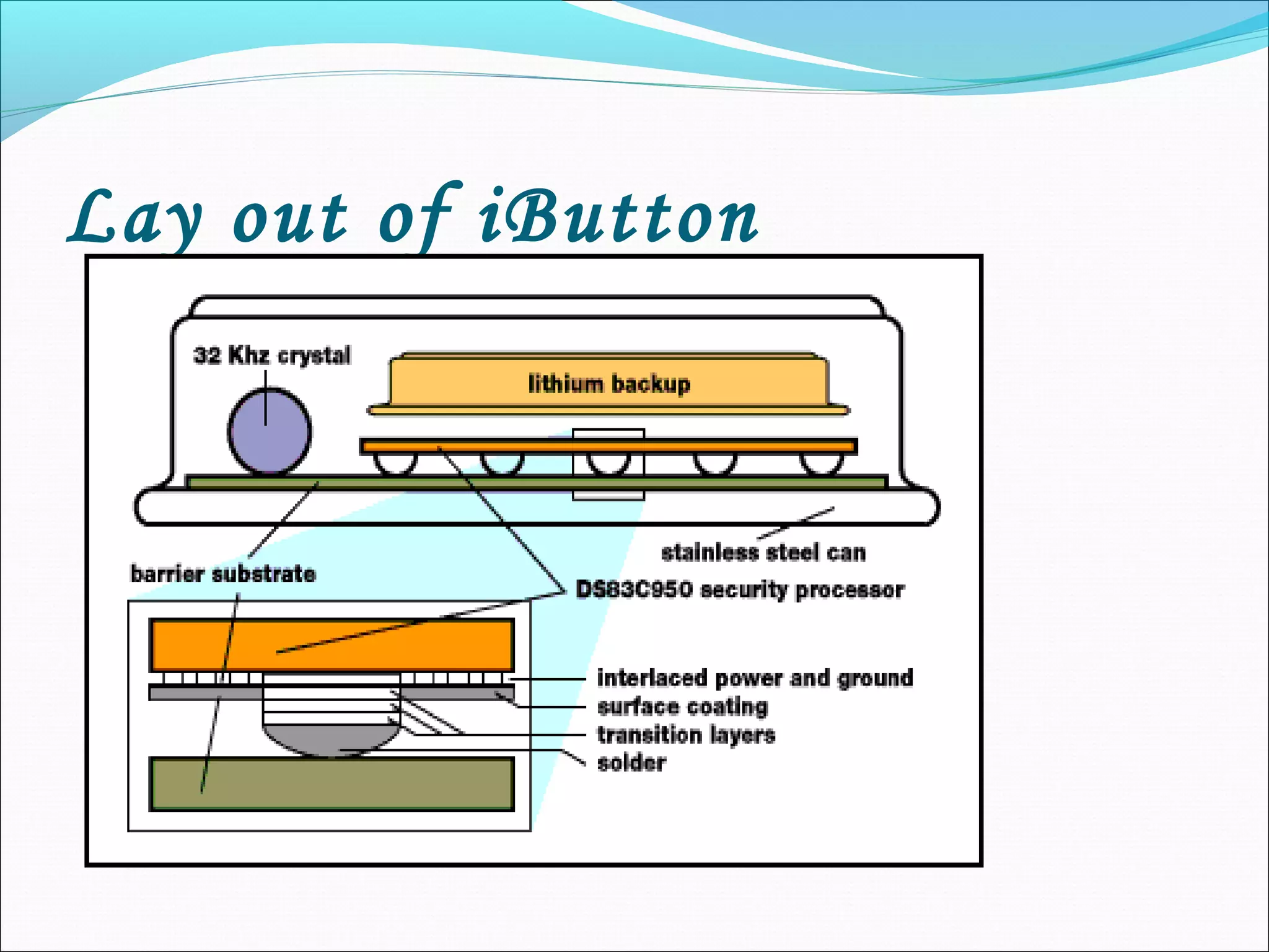 Lay out of iButton
 
