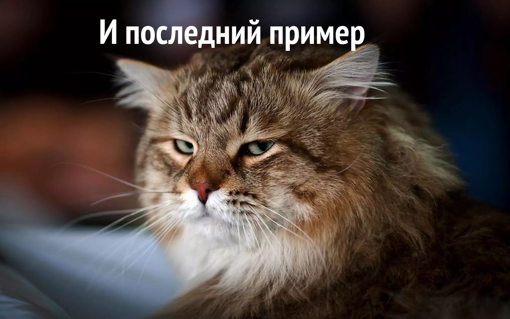 И последний пример 