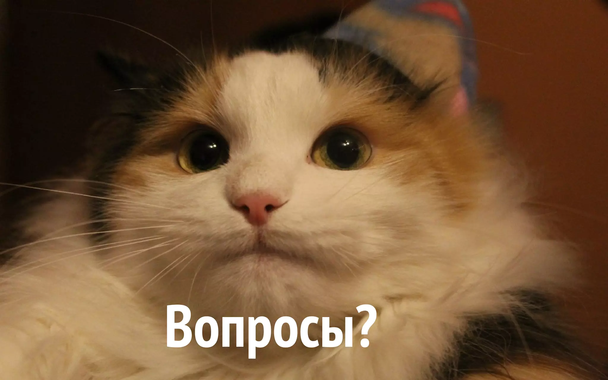 Вопросы? 