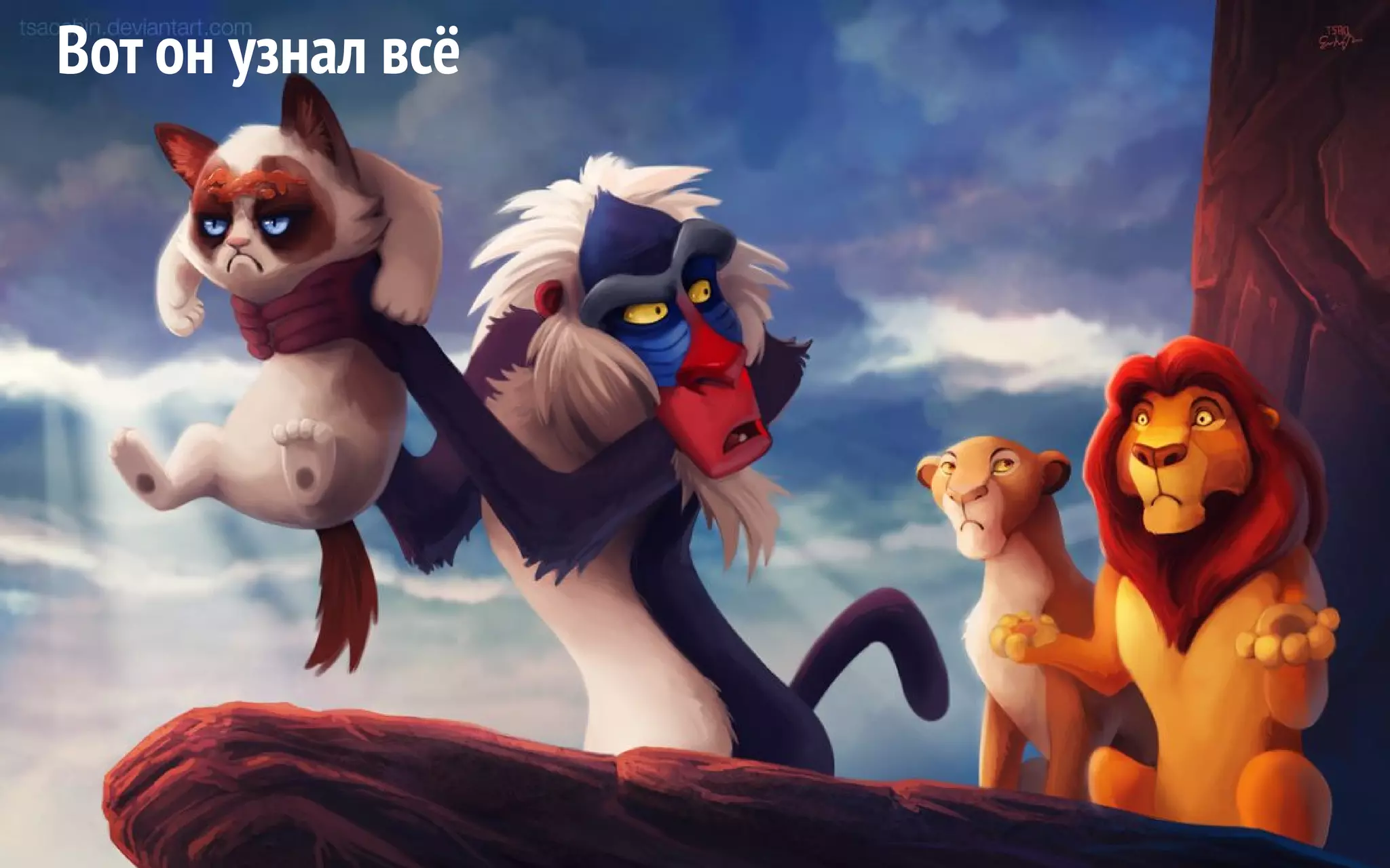 Вот он узнал всё 