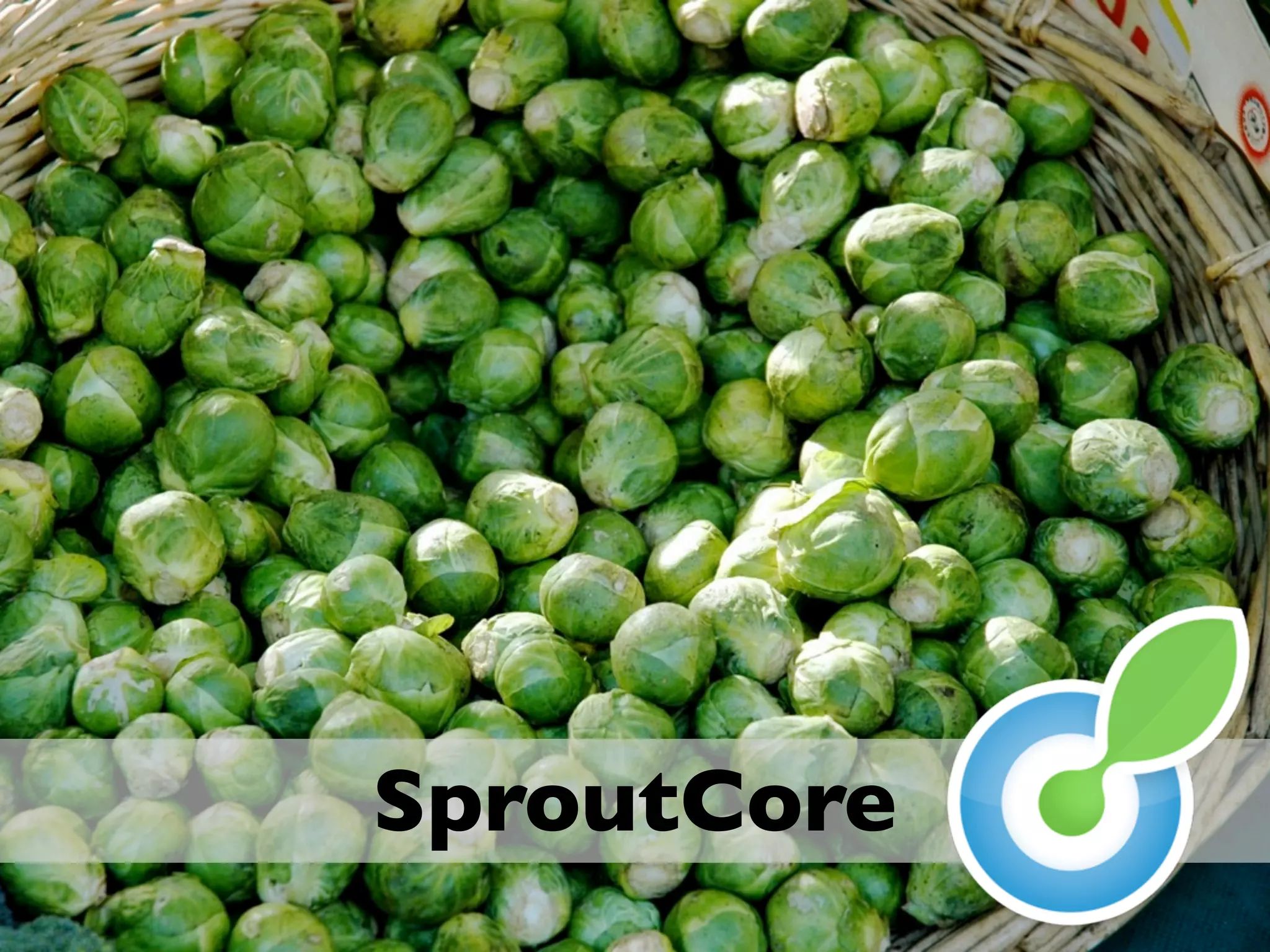 SproutCore
 