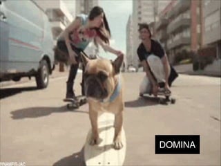 DOMINA
 