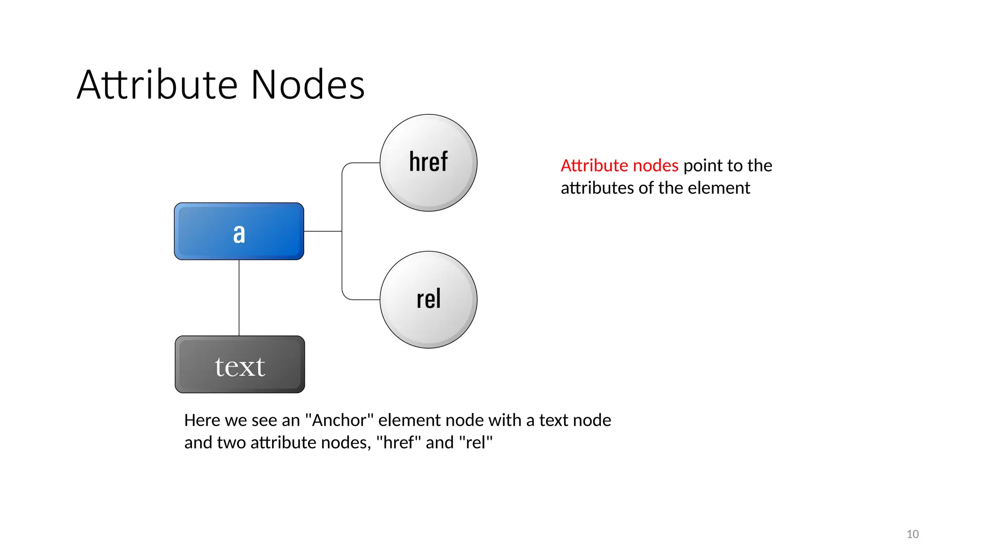 Attribute Nodes
10
Attribute nodes point to the
attributes of the element
Here we see an "Anchor" element node with a text node
and two attribute nodes, "href" and "rel"
 