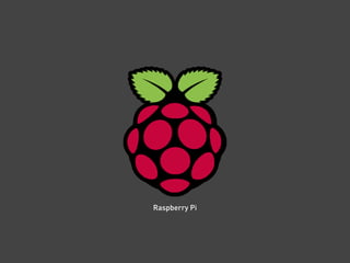 Raspberry Pi
 