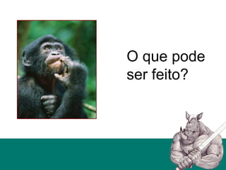 O que pode
ser feito?
 