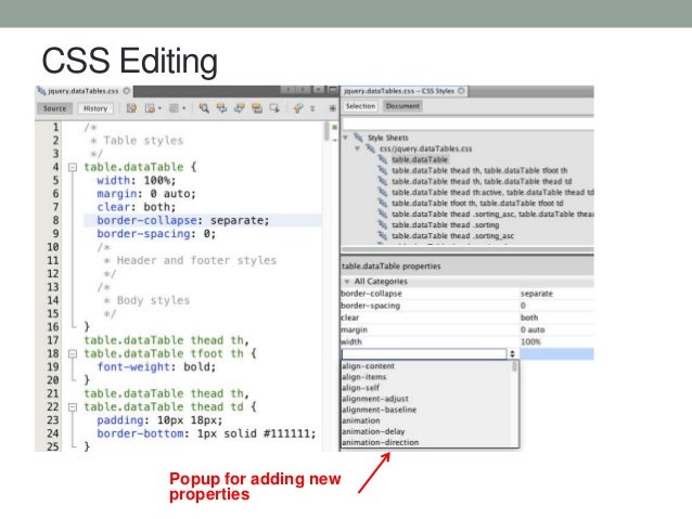 netbeans java script