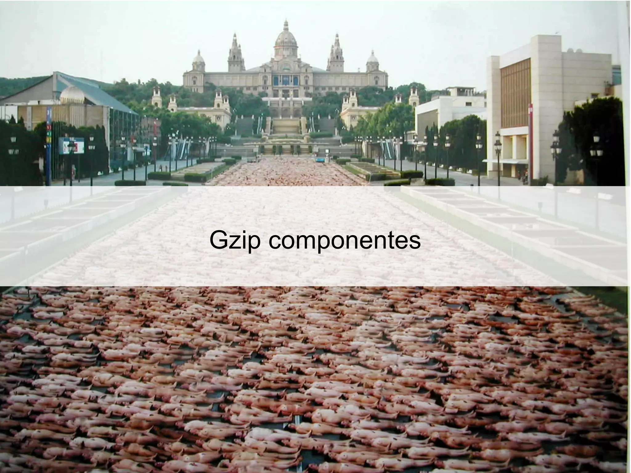 Gzip componentes
 