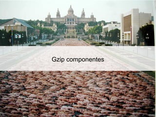 Gzip componentes
 