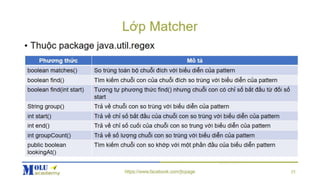 Java SE Advance Chapter10: Regular Expression | PPTX