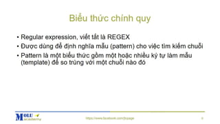 Java SE Advance Chapter10: Regular Expression