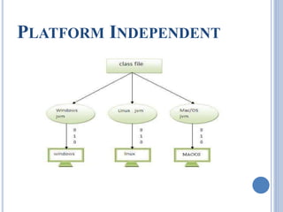 PLATFORM INDEPENDENT 
 