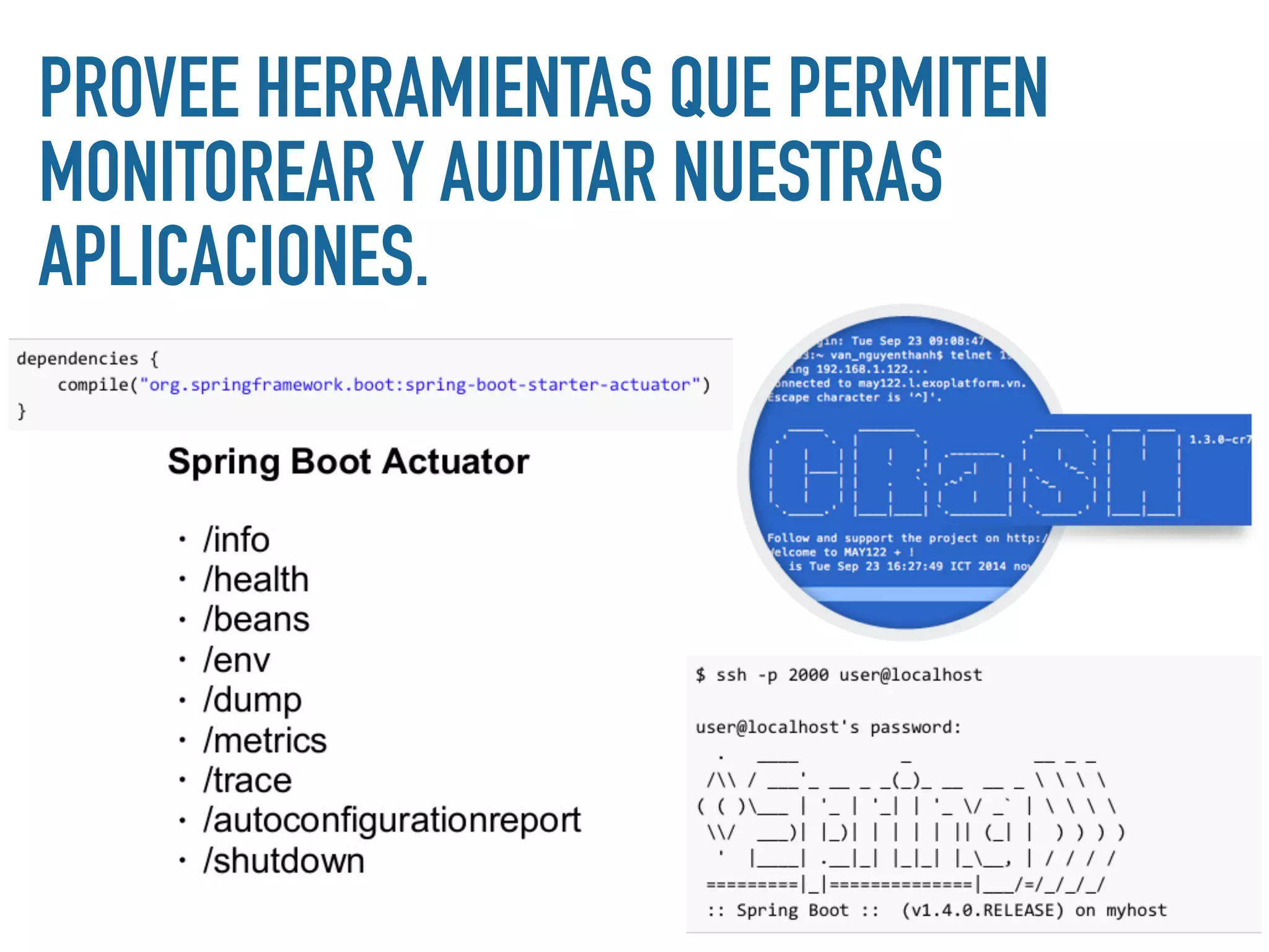 PROVEE HERRAMIENTAS QUE PERMITEN
MONITOREAR Y AUDITAR NUESTRAS
APLICACIONES.
 
