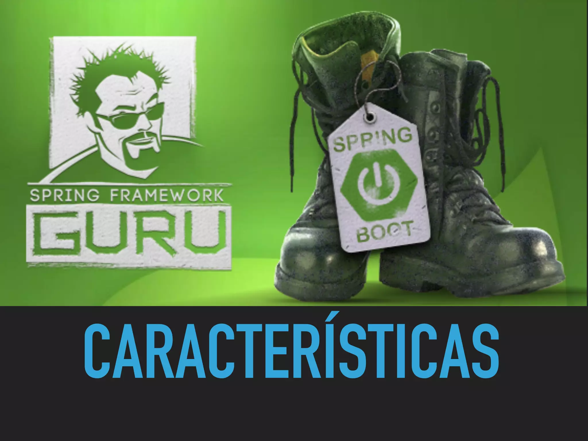 CARACTERÍSTICAS
 