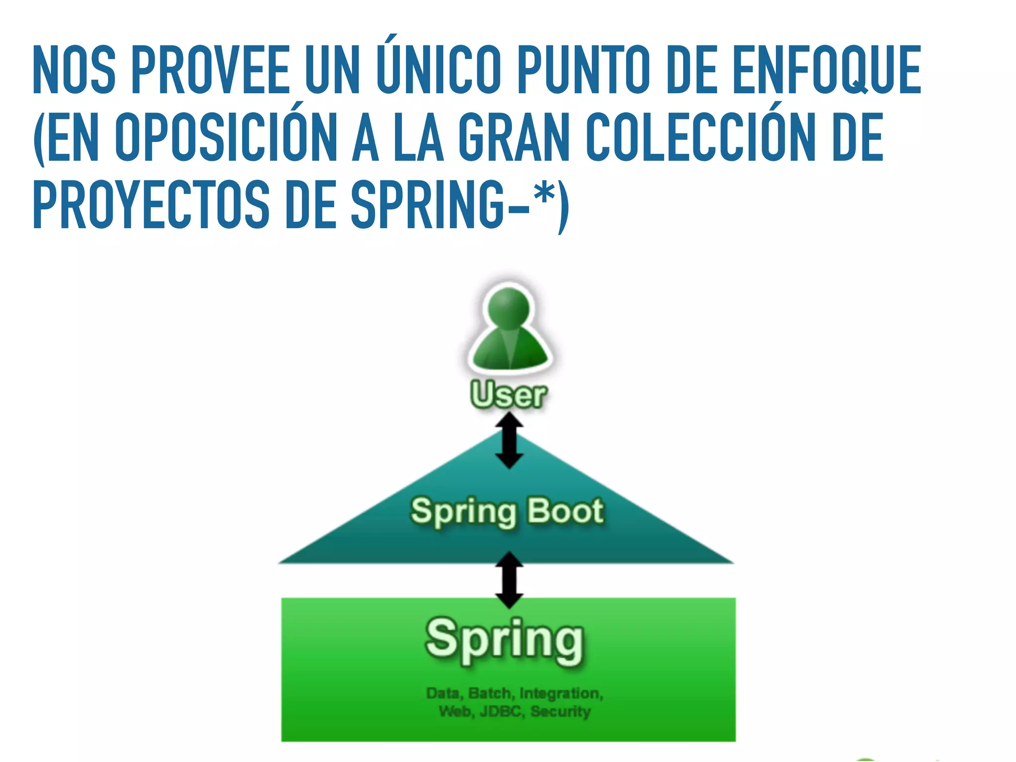 NOS PROVEE UN ÚNICO PUNTO DE ENFOQUE
(EN OPOSICIÓN A LA GRAN COLECCIÓN DE
PROYECTOS DE SPRING-*)
 