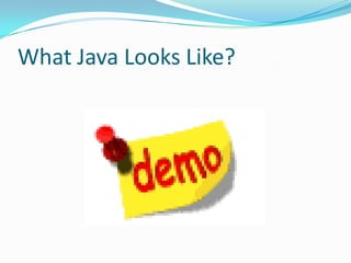What Java Looks Like?
 
