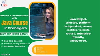 Java: Object-
oriented, platform-
independent, secure,
scalable, versatile,
robust, enterprise-
friendly,
widely-used.
 