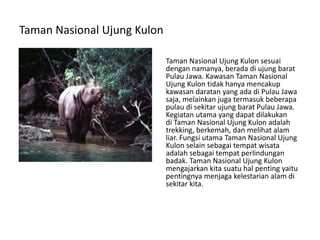 Taman Nasional Ujung Kulon
Taman Nasional Ujung Kulon sesuai
dengan namanya, berada di ujung barat
Pulau Jawa. Kawasan Taman Nasional
Ujung Kulon tidak hanya mencakup
kawasan daratan yang ada di Pulau Jawa
saja, melainkan juga termasuk beberapa
pulau di sekitar ujung barat Pulau Jawa.
Kegiatan utama yang dapat dilakukan
di Taman Nasional Ujung Kulon adalah
trekking, berkemah, dan melihat alam
liar. Fungsi utama Taman Nasional Ujung
Kulon selain sebagai tempat wisata
adalah sebagai tempat perlindungan
badak. Taman Nasional Ujung Kulon
mengajarkan kita suatu hal penting yaitu
pentingnya menjaga kelestarian alam di
sekitar kita.
 