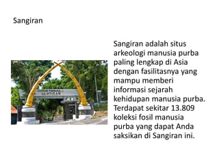 Sangiran
Sangiran adalah situs
arkeologi manusia purba
paling lengkap di Asia
dengan fasilitasnya yang
mampu memberi
informasi sejarah
kehidupan manusia purba.
Terdapat sekitar 13.809
koleksi fosil manusia
purba yang dapat Anda
saksikan di Sangiran ini.
 