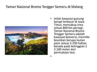 Taman Nasional Bromo Tengger Semeru di Malang
• Inilah kawasan gunung
berapi terbesar di Jawa
Timur, mencakup area
seluas 800 km persegi.
Taman Nasional Bromo
Tengger Semeru adalah
kawasan konversi, memiliki
keunikan berupa lautan
pasir seluas 5.250 hektar,
berada pada ketinggian ±
2.100 meter dari
permukaan laut.
•
 