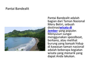 Pantai Bandealit
Pantai Bandealit adalah
bagian dari Taman Nasional
Meru Betiri, sebuah
destinasiwisata di
Jember yang populer.
Menyusuri sungai
menggunakan speedboat,
berkano, atau melihat
burung yang banyak hidup
di kawasan taman nasional
adalah beberapa kegiatan
wisata yang menarik yang
dapat Anda lakukan.
 