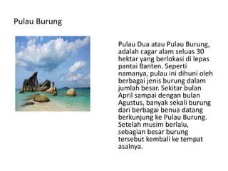 Pulau Burung
Pulau Dua atau Pulau Burung,
adalah cagar alam seluas 30
hektar yang berlokasi di lepas
pantai Banten. Seperti
namanya, pulau ini dihuni oleh
berbagai jenis burung dalam
jumlah besar. Sekitar bulan
April sampai dengan bulan
Agustus, banyak sekali burung
dari berbagai benua datang
berkunjung ke Pulau Burung.
Setelah musim berlalu,
sebagian besar burung
tersebut kembali ke tempat
asalnya.
 