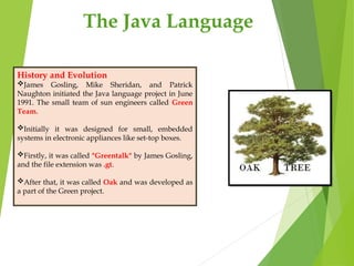 java features, history and java environment | PPT