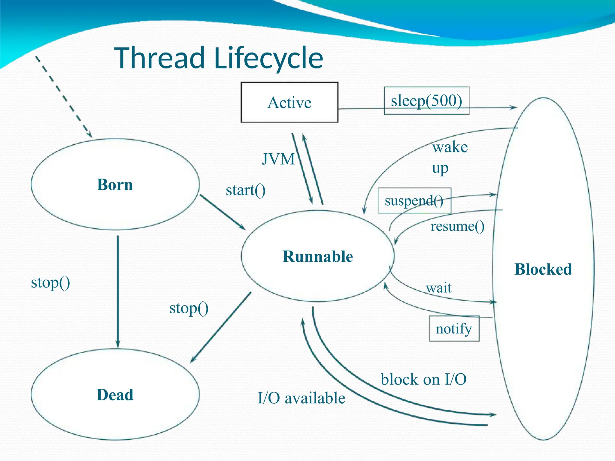 Thread Lifecycle
Born
Blocked
Runnable
Dead
stop()
stop()
Active
I/O available
JVM
start()
sleep(500)
wake
up
suspend()
resume()
wait
notify
block on I/O
 