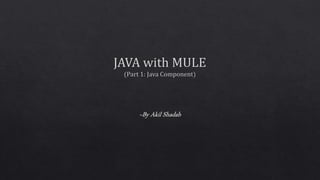 Java with mule   part 1