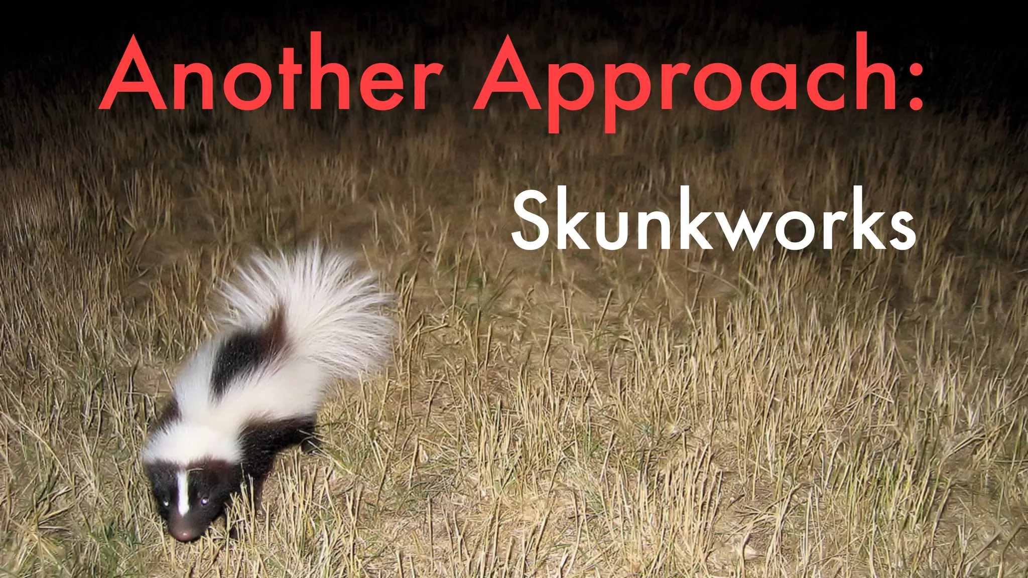 Another Approach: 
Skunkworks 
 