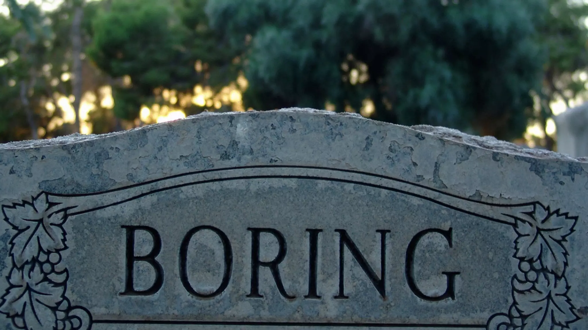 BORING! 
 
