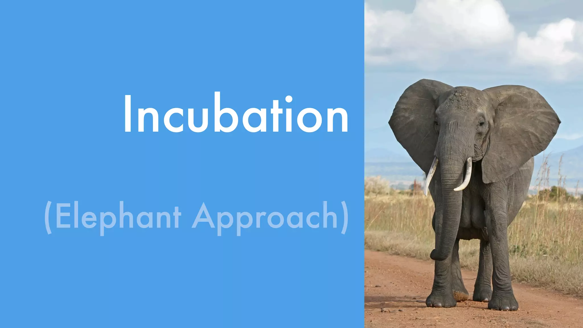 Incubation 
(Elephant Approach) 
 