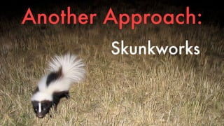 Another Approach: 
Skunkworks 
 