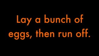 Lay a bunch of 
eggs, then run off. 
 
