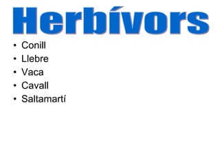 Conill Llebre Vaca Cavall Saltamartí Herbívors 