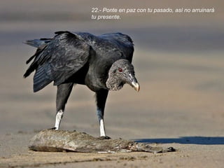 22.- Ponte en paz con tu pasado, así no arruinará
tu presente.
 