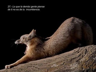 27.- Lo que la demás gente piense
de ti no es de tu incumbencia.
 