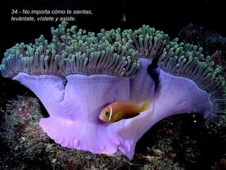 34.- No importa cómo te sientas,
levántate, vístete y asiste.
 