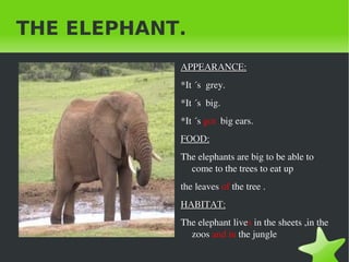 THE ELEPHANT. ,[object Object]