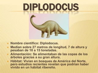 DIPLODOCUS


   Nombre científico: Diplodocus.
   Medían sobre 27 metros de longitud, 7 de altura y
    pesaban de 10 a 15 toneladas.
   Alimentación: Se alimentaban de las copas de los
    árboles gracias a su gran altura.
   Hábitat: Vivían en bosques de América del Norte,
    pero estudios recientes revelan que podrían haber
    vivido en un hábitat ribereño.
 
