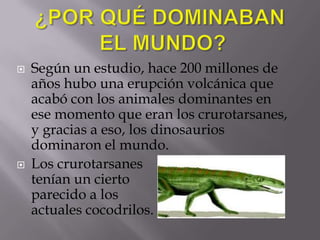    Según un estudio, hace 200 millones de
    años hubo una erupción volcánica que
    acabó con los animales dominantes en
    ese momento que eran los crurotarsanes,
    y gracias a eso, los dinosaurios
    dominaron el mundo.
   Los crurotarsanes
    tenían un cierto
    parecido a los
    actuales cocodrilos.
 