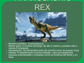    Nombre científico: Tyrannosaurus.
   Medía sobre 13 metros del largo, de alto 5 metros y pesaba más o
    menos 6 toneladas.
   Alimentación: Se alimentaba tanto de carroña como de presas vivas.
   Hábitat: Probablemente muchos hábitats, pero principalmente
    bosques subtropicales y húmedas como en América del Norte y en
    Asia.
 