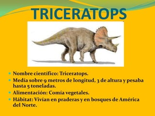 TRICERATOPS


 Nombre científico: Triceratops.
 Medía sobre 9 metros de longitud, 3 de altura y pesaba
  hasta 5 toneladas.
 Alimentación: Comía vegetales.
 Hábitat: Vivían en praderas y en bosques de América
  del Norte.
 