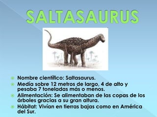    Nombre científico: Saltasaurus.
   Medía sobre 12 metros de largo, 4 de alto y
    pesaba 7 toneladas más o menos.
   Alimentación: Se alimentaban de las copas de los
    árboles gracias a su gran altura.
   Hábitat: Vivían en tierras bajas como en América
    del Sur.
 