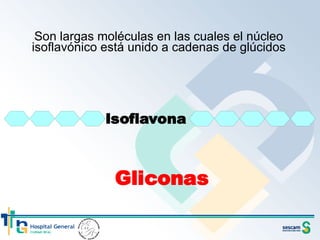 Son largas moléculas en las cuales el núcleo isoflavónico está unido a cadenas de glúcidos 
