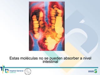 Estas moléculas no se pueden absorber a nivel intestinal 