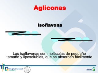 Las isoflavonas son moléculas de pequeño tamaño y liposolubles, que se absorben fácilmente 