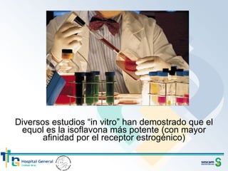Diversos estudios “in vitro” han demostrado que el equol es la isoflavona más potente (con mayor afinidad por el receptor estrogénico) 