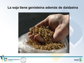La soja tiene genisteína además de daidzeína 