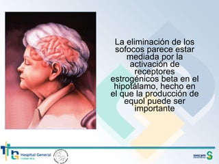 La eliminación de los sofocos parece estar mediada por la activación de receptores estrogénicos beta en el hipotálamo, hecho en el que la producción de equol puede ser importante 